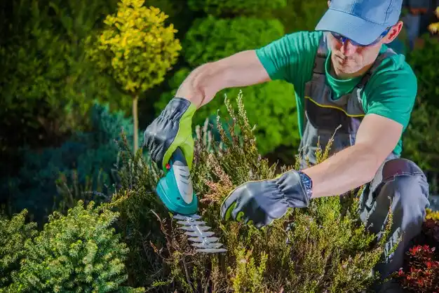 landscaping services Sandusky